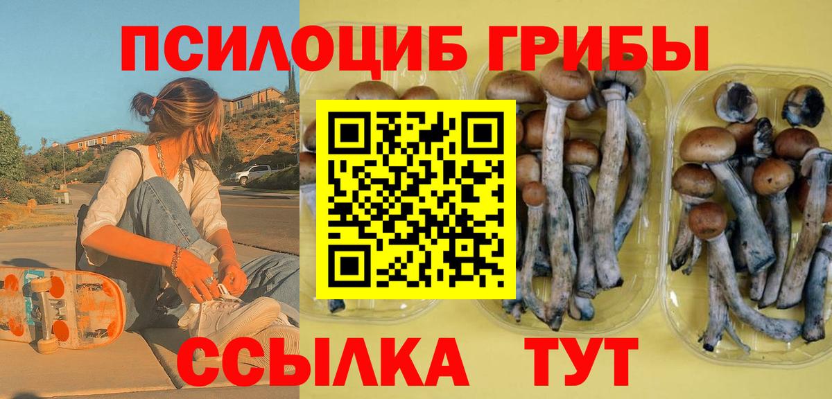 Нижний Тагил  Псилоцибиновые грибы MAGIC MUSHROOMS  Вход с VPN  Галлюциногенные грибы Psilocybine cubensis 