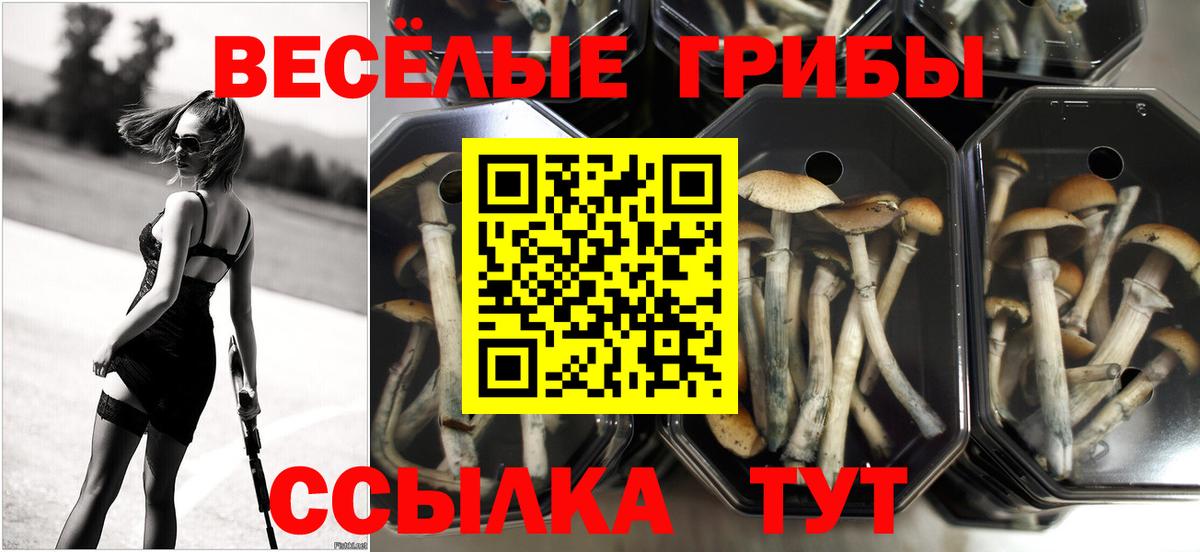 Галлюциногенные грибы мицелий Нижний Тагил